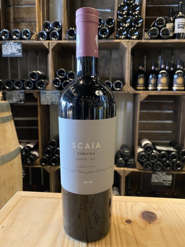 scaia corvina