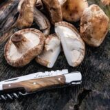 Laguiole Style de Vie zakmes met kurkentrekker - Afbeelding 6