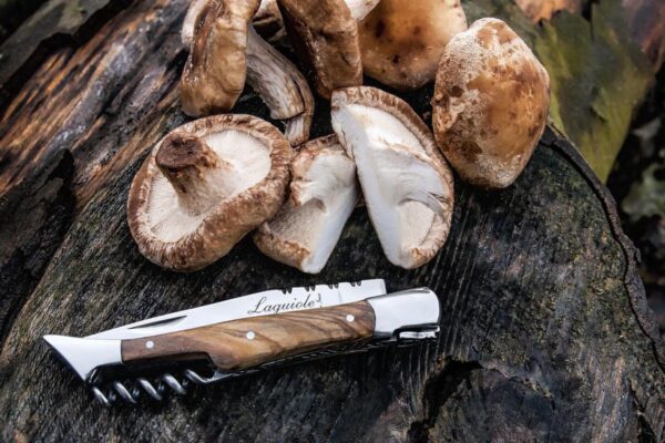Laguiole Style de Vie zakmes met kurkentrekker - Afbeelding 6