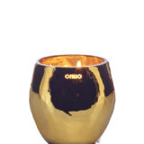 onno kaars