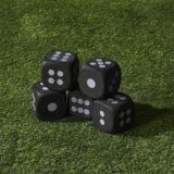 Yathzee spel voor in de tuin - Afbeelding 5