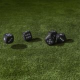Yathzee spel voor in de tuin - Afbeelding 7