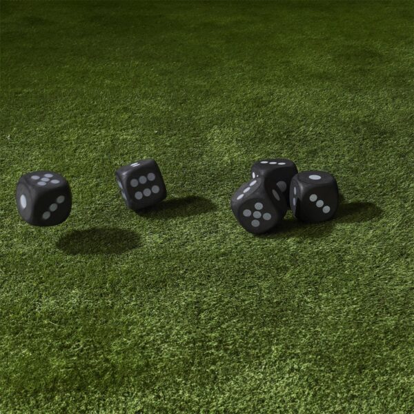 Yathzee spel voor in de tuin - Afbeelding 7