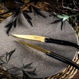 laguiole steakmessen